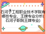石河子工程职业技术学院有哪些专业，王牌专业分析(石河子职院王牌专业)