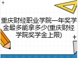 重庆财经职业学院一年奖学金最多能拿多少(重庆财经学院奖学金上限)