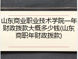 山东商业职业技术学院一年财政拨款大概多少钱(山东商职年财政拨款)