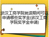 武汉工商学院就读期间可以申请哪些奖学金(武汉工商学院奖学金申请)