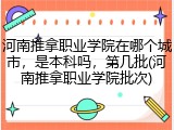 河南推拿职业学院在哪个城市，是本科吗，第几批(河南推拿职业学院批次)