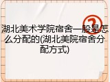 湖北美术学院宿舍一般是怎么分配的(湖北美院宿舍分配方式)