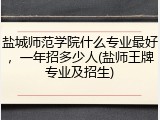 盐城师范学院什么专业最好，一年招多少人(盐师王牌专业及招生)
