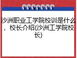 沙洲职业工学院校训是什么，校长介绍(沙洲工学院校长)