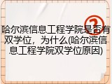 哈尔滨信息工程学院是否有双学位，为什么(哈尔滨信息工程学院双学位原因)