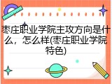 枣庄职业学院主攻方向是什么，怎么样(枣庄职业学院特色)