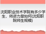 沈阳职业技术学院有多少学生，师资力量如何(沈阳职院师生规模)