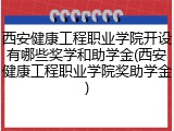 西安健康工程职业学院开设有哪些奖学和助学金(西安健康工程职业学院奖助学金)