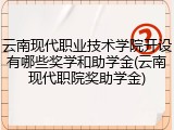 云南现代职业技术学院开设有哪些奖学和助学金(云南现代职院奖助学金)
