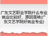 广东文艺职业学院什么专业就业比较好，原因是啥(广东文艺学院好就业专业)