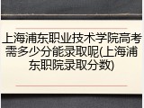 上海浦东职业技术学院高考需多少分能录取呢(上海浦东职院录取分数)