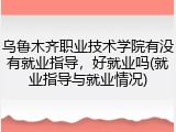 乌鲁木齐职业技术学院有没有就业指导，好就业吗(就业指导与就业情况)