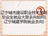 辽宁城市建设职业技术学院毕业生就业大致去向如何(辽宁城建学院就业去向)