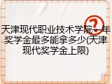 天津现代职业技术学院一年奖学金最多能拿多少(天津现代奖学金上限)