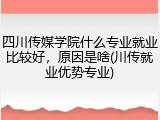 四川传媒学院什么专业就业比较好，原因是啥(川传就业优势专业)