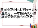 湄洲湾职业技术学院什么专业最好，一年招多少人(湄洲湾职院优势专业及招生)
