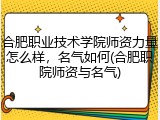 合肥职业技术学院师资力量怎么样，名气如何(合肥职院师资与名气)