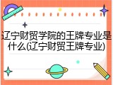 辽宁财贸学院的王牌专业是什么(辽宁财贸王牌专业)