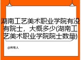 湖南工艺美术职业学院有没有院士，大概多少(湖南工艺美术职业学院院士数量)