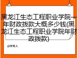黑龙江生态工程职业学院一年财政拨款大概多少钱(黑龙江生态工程职业学院年财政拨款)