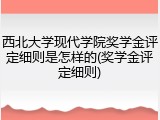 西北大学现代学院奖学金评定细则是怎样的(奖学金评定细则)