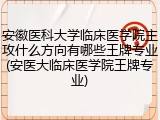 安徽医科大学临床医学院主攻什么方向有哪些王牌专业(安医大临床医学院王牌专业)