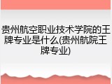 贵州航空职业技术学院的王牌专业是什么(贵州航院王牌专业)