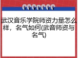 武汉音乐学院师资力量怎么样，名气如何(武音师资与名气)