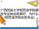广西民族大学相思湖学院哪些专业就业前景好，为什么(相思湖学院优势专业)