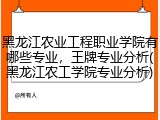 黑龙江农业工程职业学院有哪些专业，王牌专业分析(黑龙江农工学院专业分析)