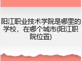 阳江职业技术学院是哪里的学校，在哪个城市(阳江职院位置)