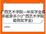 广西艺术学院一年奖学金最多能拿多少(广西艺术学院最高奖学金)