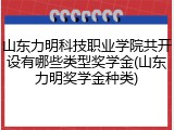 山东力明科技职业学院共开设有哪些类型奖学金(山东力明奖学金种类)