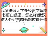 武汉纺织大学外经贸学院图书馆在哪里，怎么样(武汉纺大外经贸图书馆位置评价)