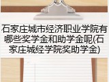 石家庄城市经济职业学院有哪些奖学金和助学金呢(石家庄城经学院奖助学金)