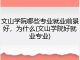 文山学院哪些专业就业前景好，为什么(文山学院好就业专业)