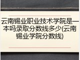 云南锡业职业技术学院是一本吗录取分数线多少(云南锡业学院分数线)