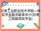 甘肃工业职业技术学院一年奖学金最多能拿多少(甘肃工院最高奖学金)