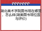 湖北美术学院图书馆在哪里，怎么样(湖美图书馆位置与评价)