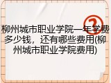 柳州城市职业学院一年学费多少钱，还有哪些费用(柳州城市职业学院费用)