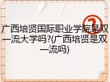 广西培贤国际职业学院是双一流大学吗?(广西培贤是双一流吗)