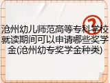 沧州幼儿师范高等专科学校就读期间可以申请哪些奖学金(沧州幼专奖学金种类)