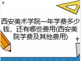 西安美术学院一年学费多少钱，还有哪些费用(西安美院学费及其他费用)