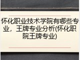 怀化职业技术学院有哪些专业，王牌专业分析(怀化职院王牌专业)