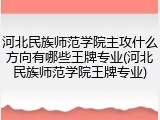 河北民族师范学院主攻什么方向有哪些王牌专业(河北民族师范学院王牌专业)