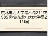 东北电力大学是不是211或985高校(东北电力大学是211吗)