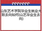山东艺术学院毕业生就业大致去向如何(山艺毕业生去向)