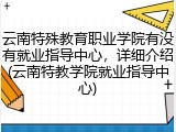 云南特殊教育职业学院有没有就业指导中心，详细介绍(云南特教学院就业指导中心)