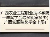 广西农业工程职业技术学院一年奖学金最多能拿多少(广西农职院奖学金上限)