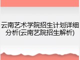云南艺术学院招生计划详细分析(云南艺院招生解析)
